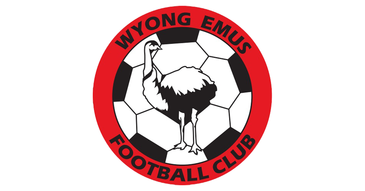 Wyong Emus Seeking Players for Mens All Age Team