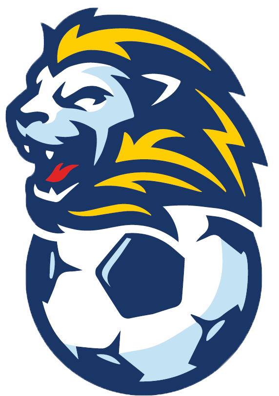 O35’s/45’s Seven A-Side Lions Cup
