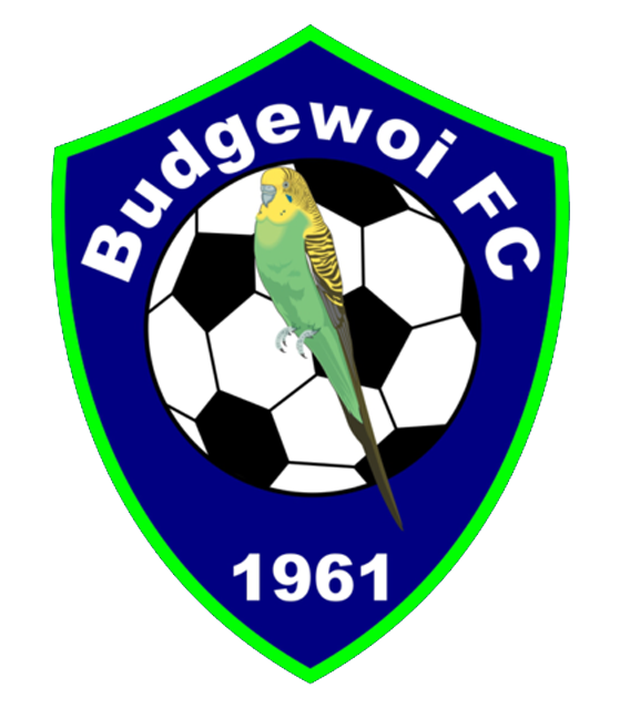 BUDGEWOI FC SENIOR WOMENS PROGRAM 2023 – COACHES WANTED