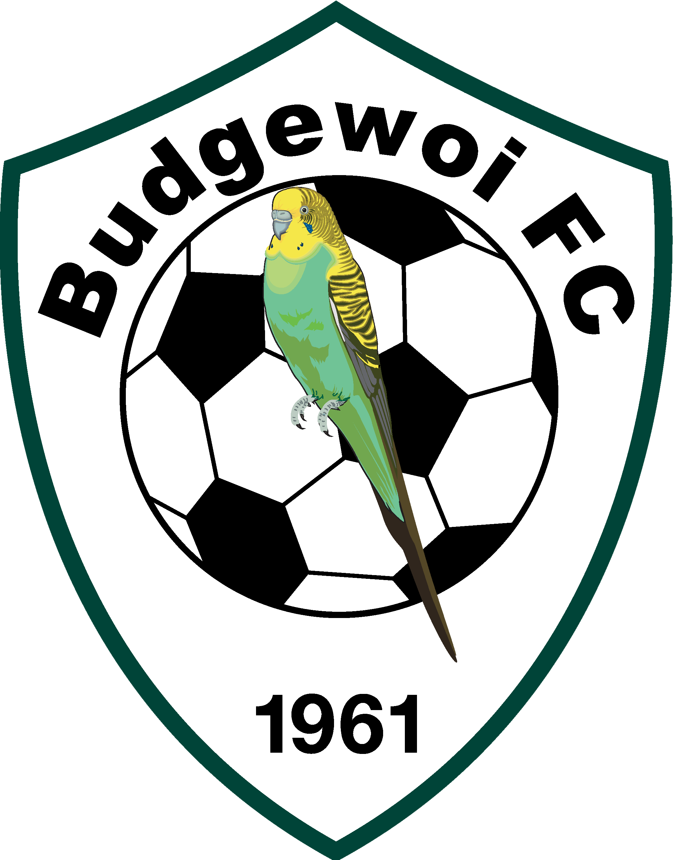 W18A Player Expression of Interest – Budgewoi FC