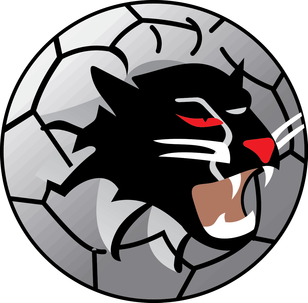 Woongarrah FC 2026 U6 & U7 Girls Gala Day